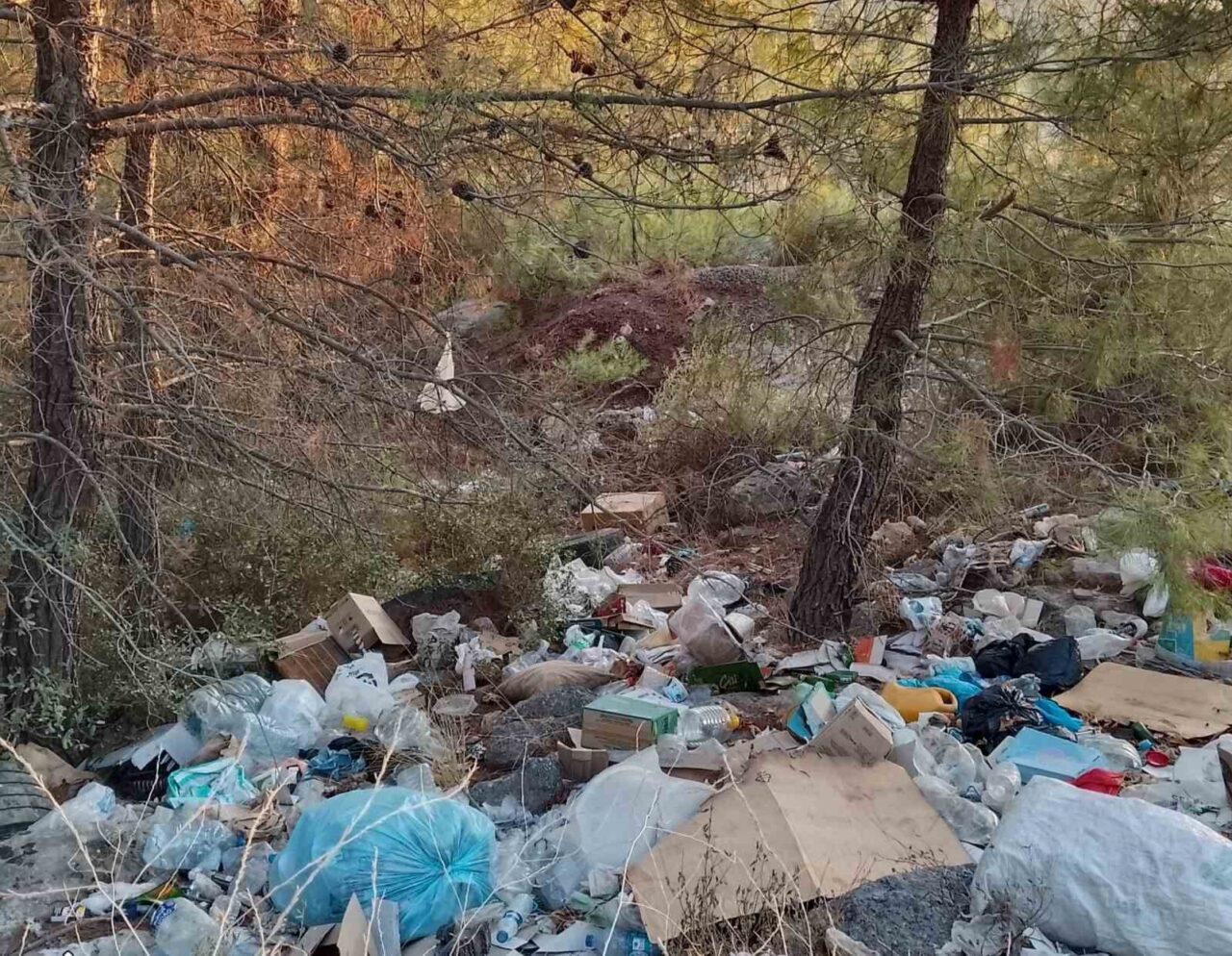 Çanakkale’de ormanlık alanlar, kimliği belirsiz kişilerin attığı moloz yığınları ve