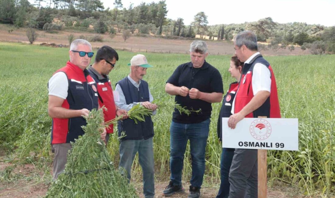 Çanakkale’nin Bayramiç ilçesinde susam üreticileri için düzenlenen tarla gününde, makineli