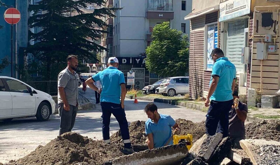 Çankırı’da Kargaz doğalgaz dağıtım firması tarafından yapılan çalışma sırasında doğalgaz