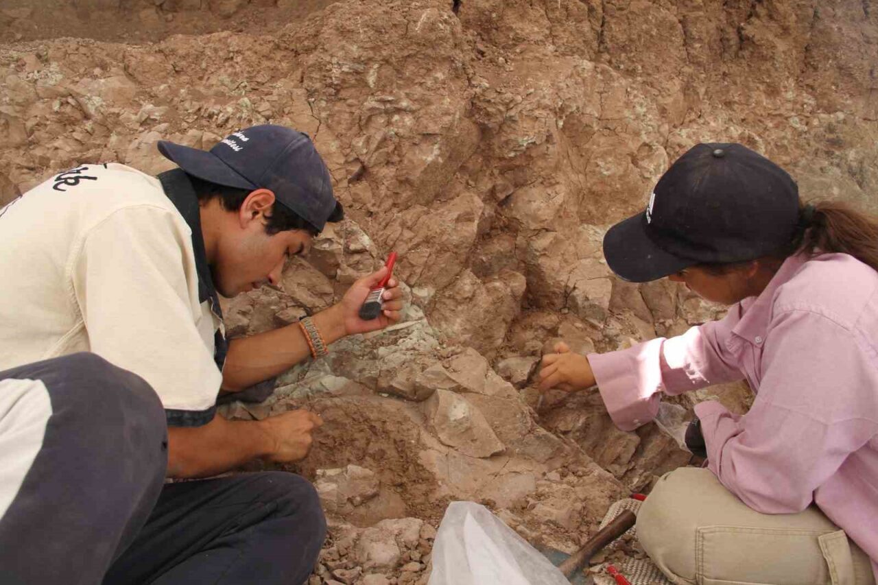 Çankırı’da Çorakyerler Omurgalı Fosil Lokalitesi’ndeki çalışmalarda 9 milyon yıl öncesine