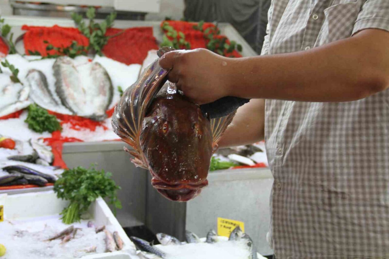 Samsun’un Çarşamba ilçesinde, 1 Eylül itibarıyla denizlerde sona eren av