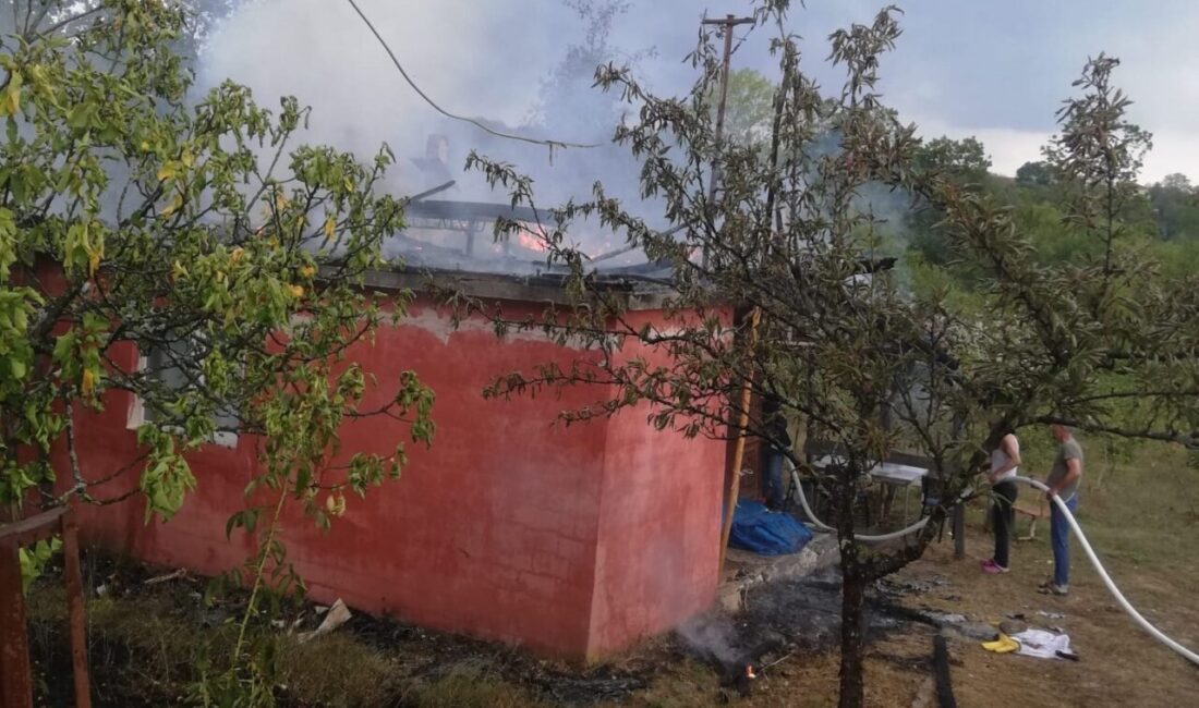 Zonguldak’ın Çaycuma ilçesine bağlı Başaran Köyü’nde meydana gelen olayda bağ