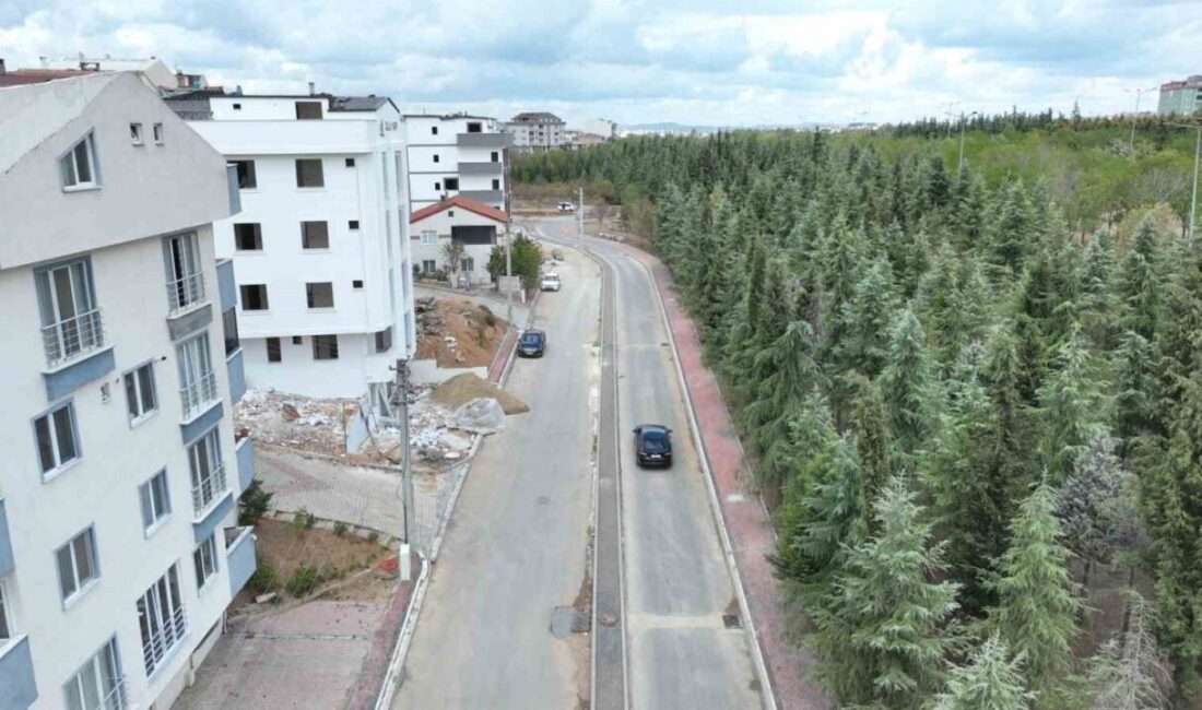 Çayırova ilçesindeki Atatürk Mahallesi’nde ulaşım konforunu artırmak amacıyla yürüttüğü yol
