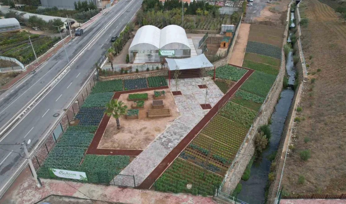 Çayırova’da 12 bin metrekarelik alanda kurulan ve içerisinde tarım atölyeleri,
