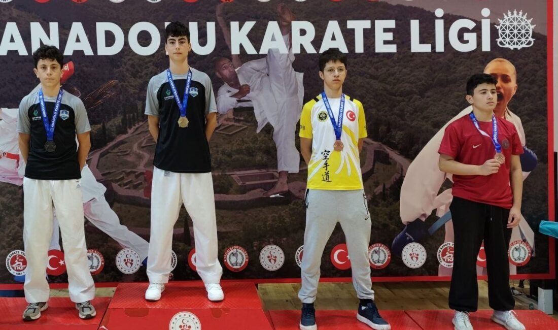 Çayırova Belediyesi Eğitim Spor Kulübü Karate Takımı, Anadolu Karate Ligi