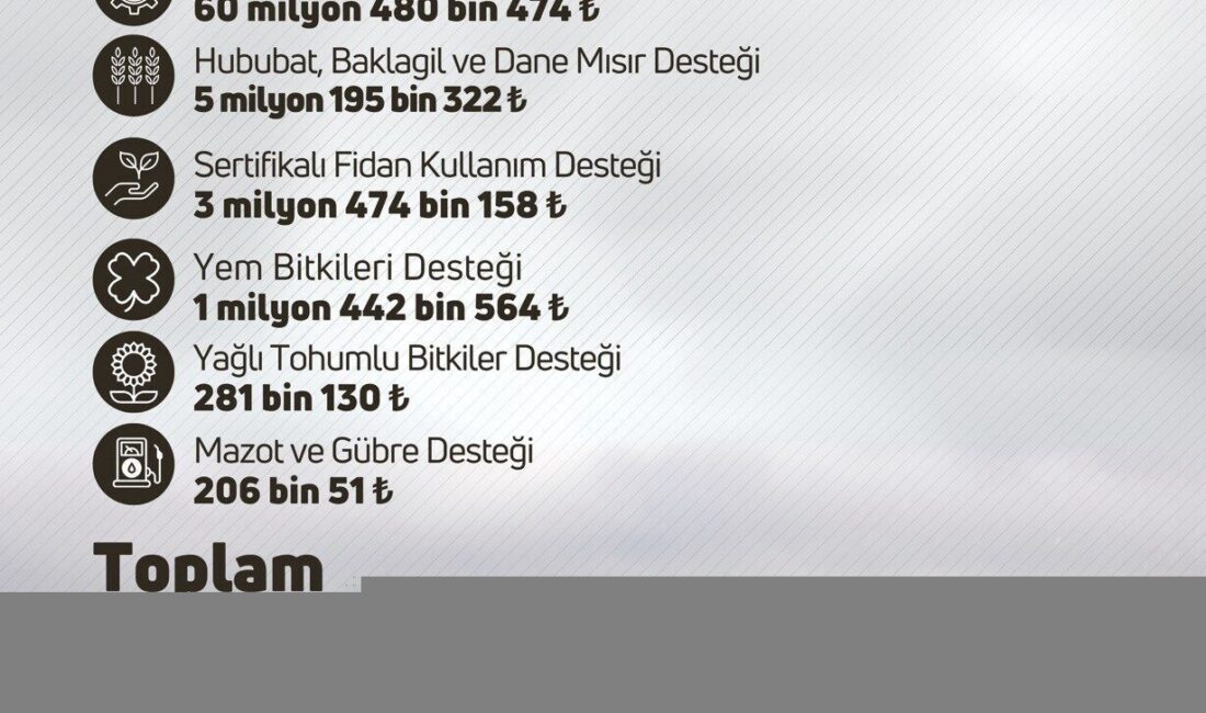 Tarım ve Orman Bakanı İbrahim Yumaklı, çiftçilere 274 milyon 805