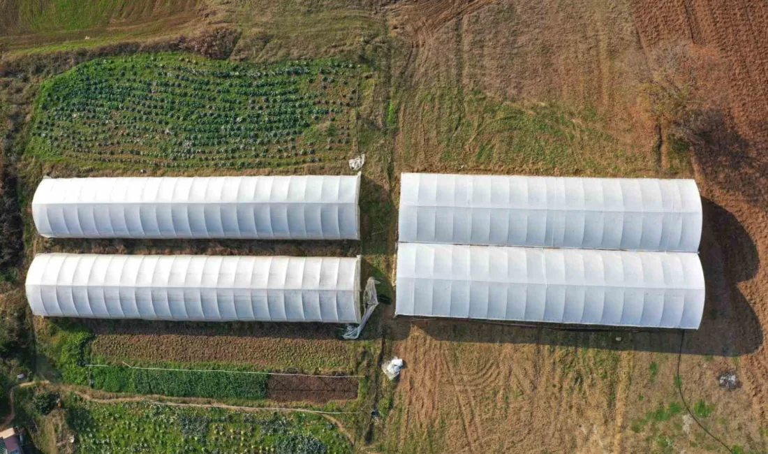 Kocaeli’de yürütülen “Seracılığı Geliştirme Projesi” kapsamında bu yılki kurulumlarla birlikte