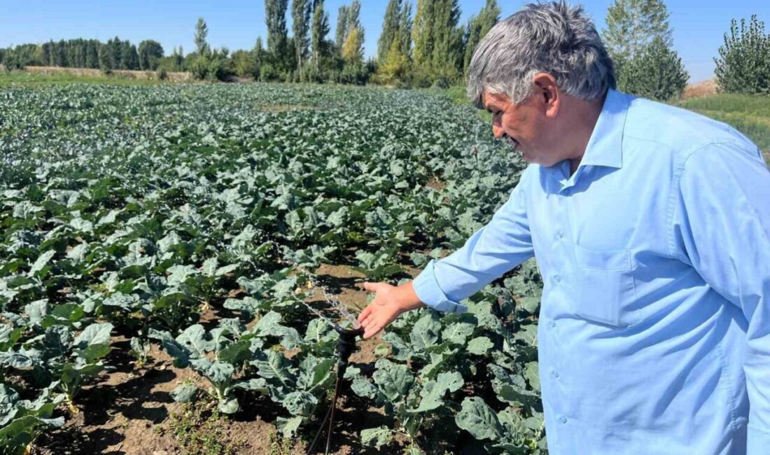 Eskişehir Yeşil Sakarya Üreticiler Birliği Başkanı Süleyman Buluşan, kuraklık sebebi