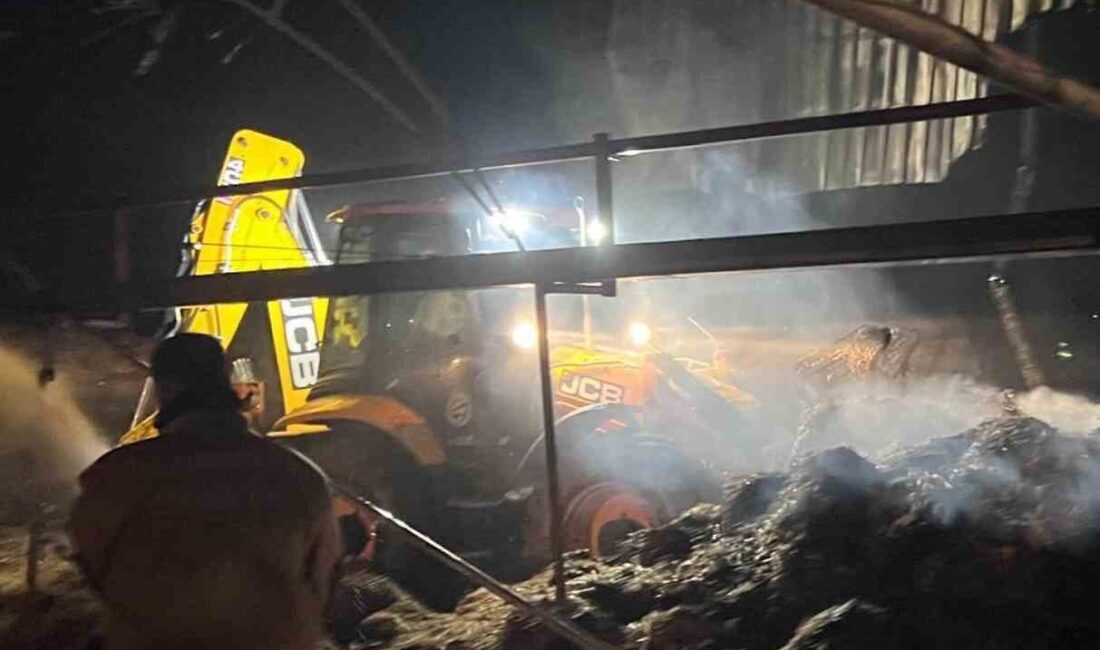 Hatay’da samanlıkta çıkan yangın, çiftliğe yayılmadan itfaiye ekipleri tarafından söndürüldü.