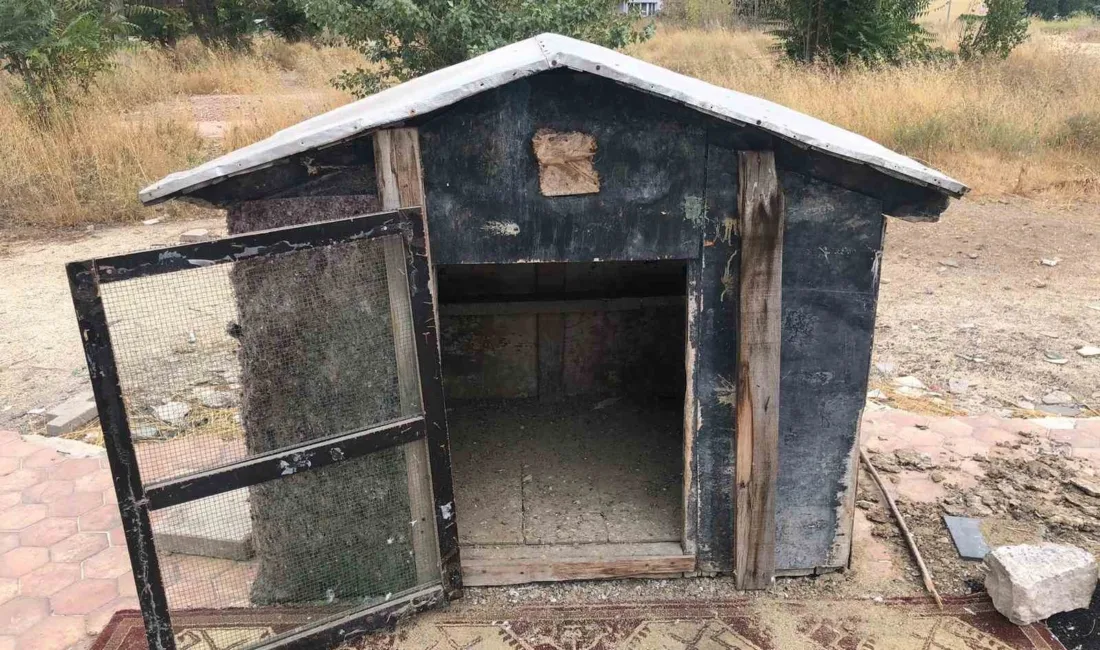 Eskişehir cinayete kurban giden Hasan Hüseyin Dogruk’un kuşlara beslemek amaçlı