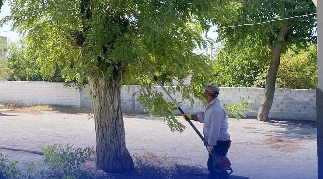 Aydın’ın Çine ilçesinde okullarda yeni eğitim öğretim yılı hazırlıkları kapsamında