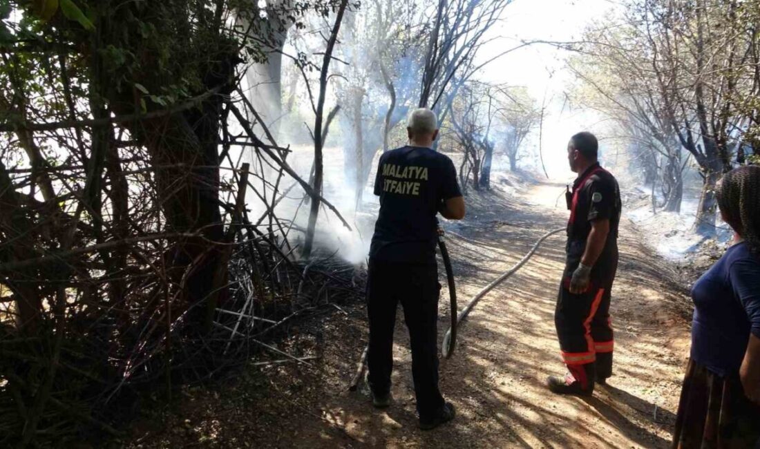 Malatya’nın Yeşilyurt ilçesinde bahçesinde çöpleri yakan kadın alevlerin yayılmasıyla çok
