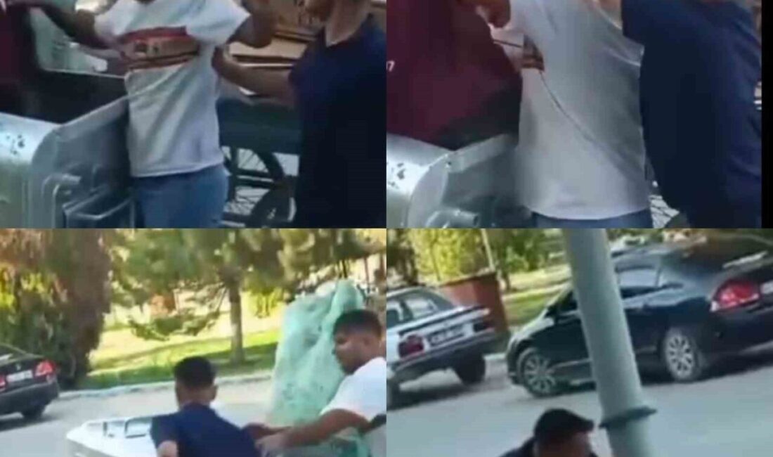 Kahramanmaraş’ın Elbistan ilçesinde çöplerden plastik atık toplayan bir kişi darbedildi.