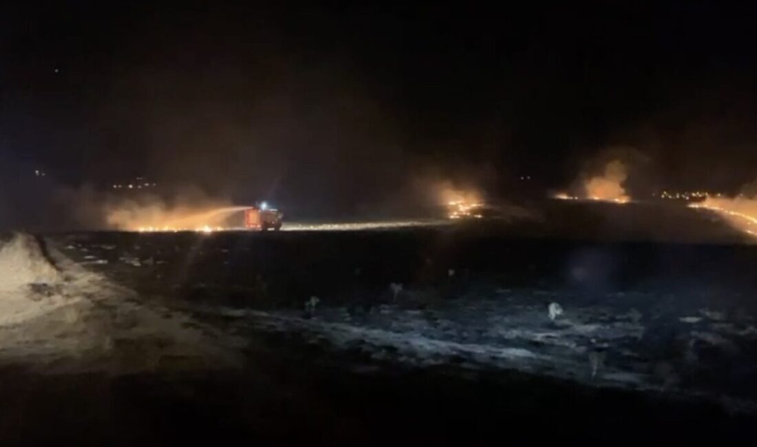 Çorum’un Alaca ilçesinde kuru otların tutuşması sebebiyle çıkan yangında 300