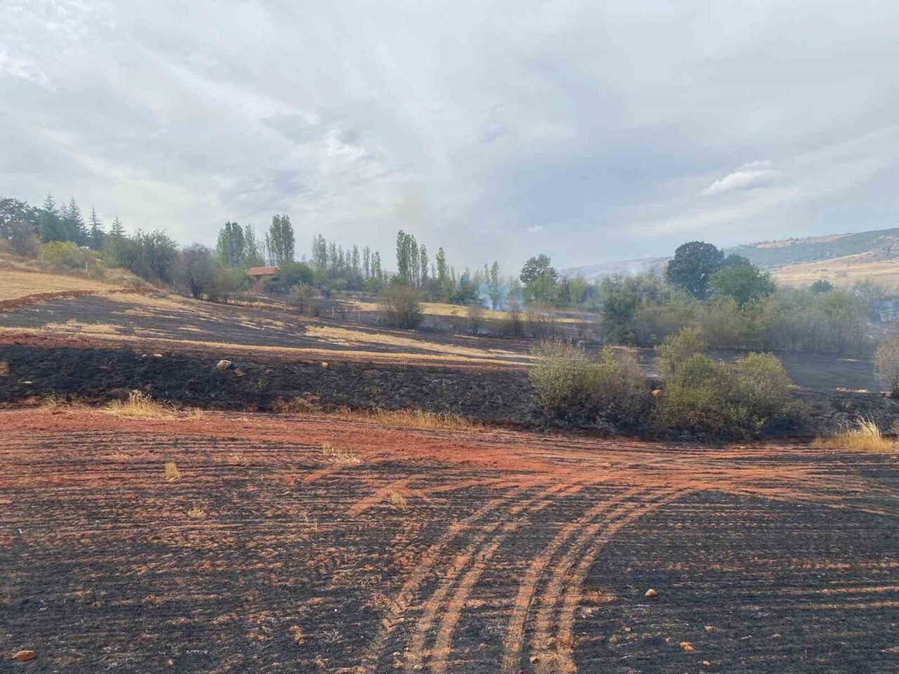Çorum’un Alaca ilçesinde çıkan yangında 250 dönüm tarla ve 15