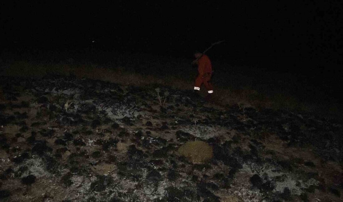 Çorum’da arazide çıkan yangın, itfaiye ve orman ekiplerinin müdahalesiyle ormana