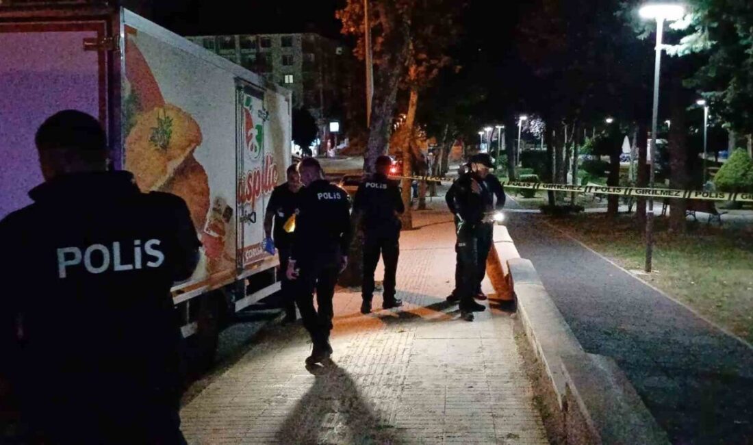 Çorum’da bir petshop dükkanına düzenlenen silahlı saldırıda ağır yaralanan şahıs,