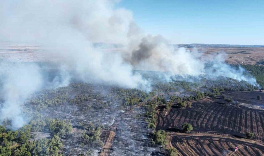 Çorum’un Alaca ilçesinde tarım arazisinde çıkan yangını, rüzgarın da etkisiyle