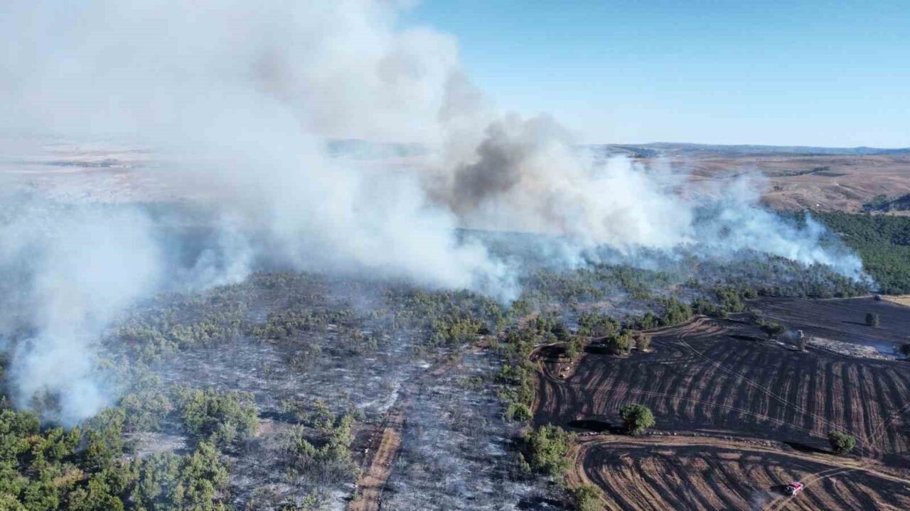 Çorum’un Alaca ilçesinde tarım arazisinde çıkan yangını, rüzgarın da etkisiyle