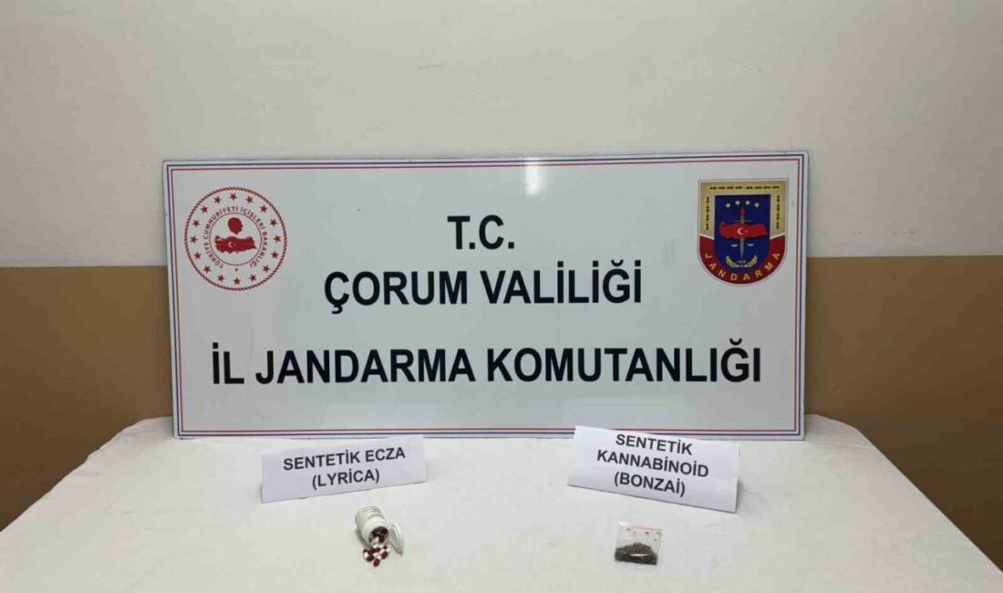 Çorum’un Alaca ilçesinde jandarma ekiplerinin yaptığı yol kontrol uygulamasında durdurulan