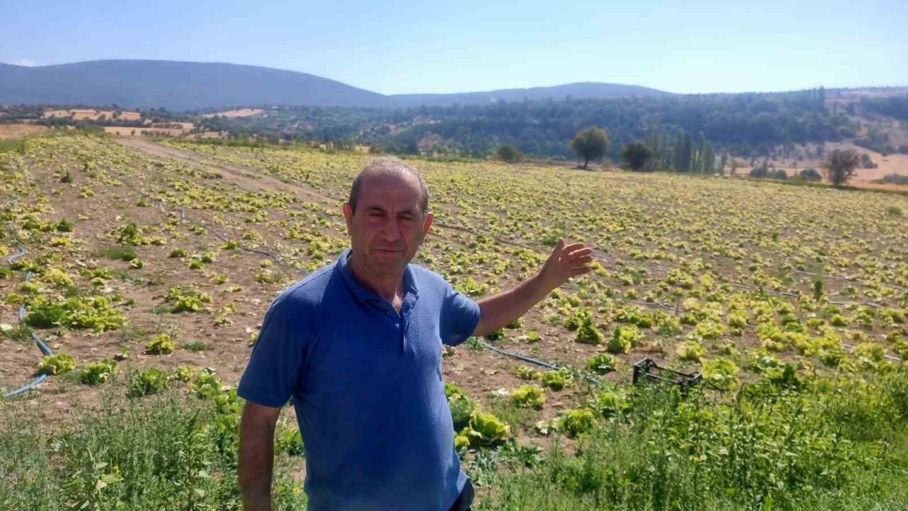 Kütahya’nın Domaniç ilçesinde çiftçiler, Çukurca Göleti sulama sistemindeki arızalar nedeniyle