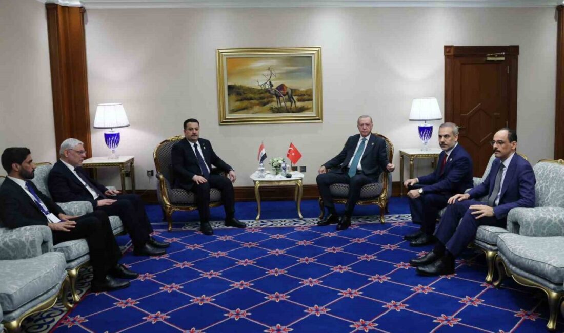 Cumhurbaşkanı Recep Tayyip Erdoğan, İslam İşbirliği Teşkilatı ve Arap Ligi