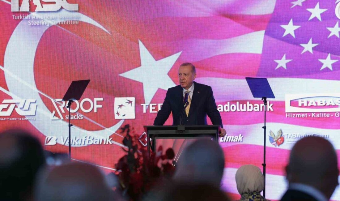 Cumhurbaşkanı Recep Tayyip Erdoğan, Türk-Amerikan Ulusal Yönlendirme Komitesi (TASC) tarafından