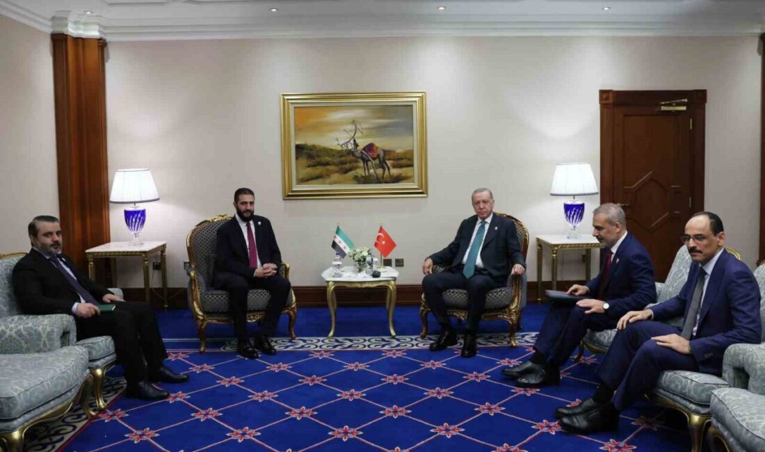 Cumhurbaşkanı Recep Tayyip Erdoğan, İslam İşbirliği Teşkilatı ve Arap Ligi