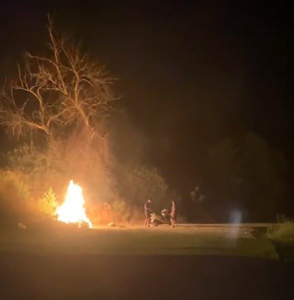 Muğla’nın Dalaman ilçesinde otobüs terminali yakınındaki ormanlık alanda kasıtlı olarak