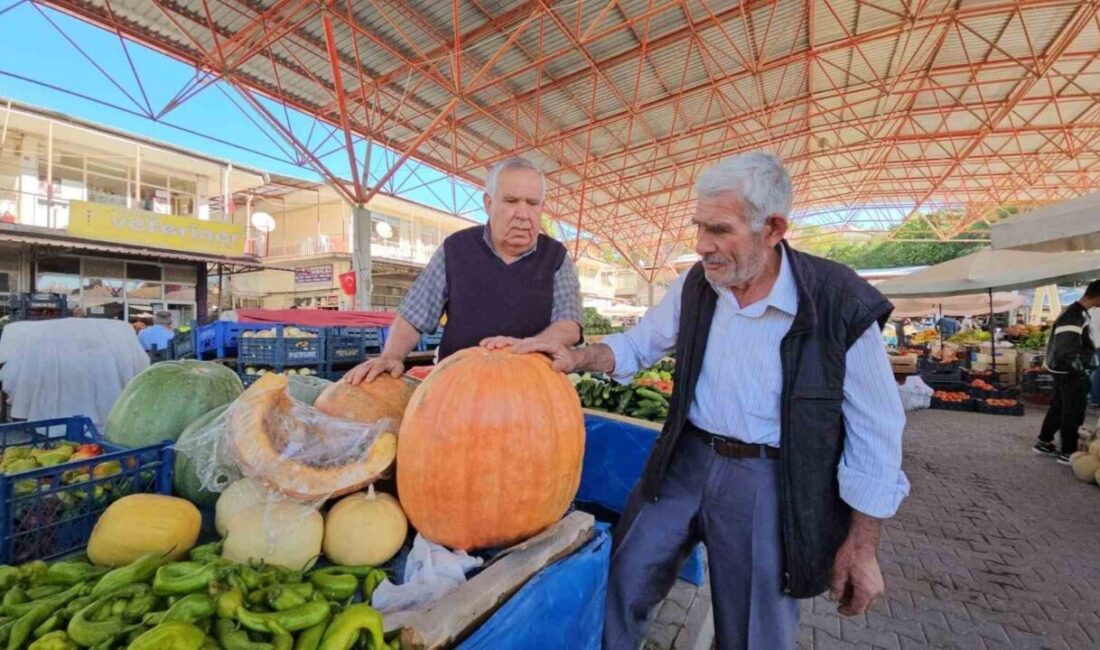 Malatya’nın Darende ilçesinde yetiştirilen ve son yıllarda üretimi artan bal