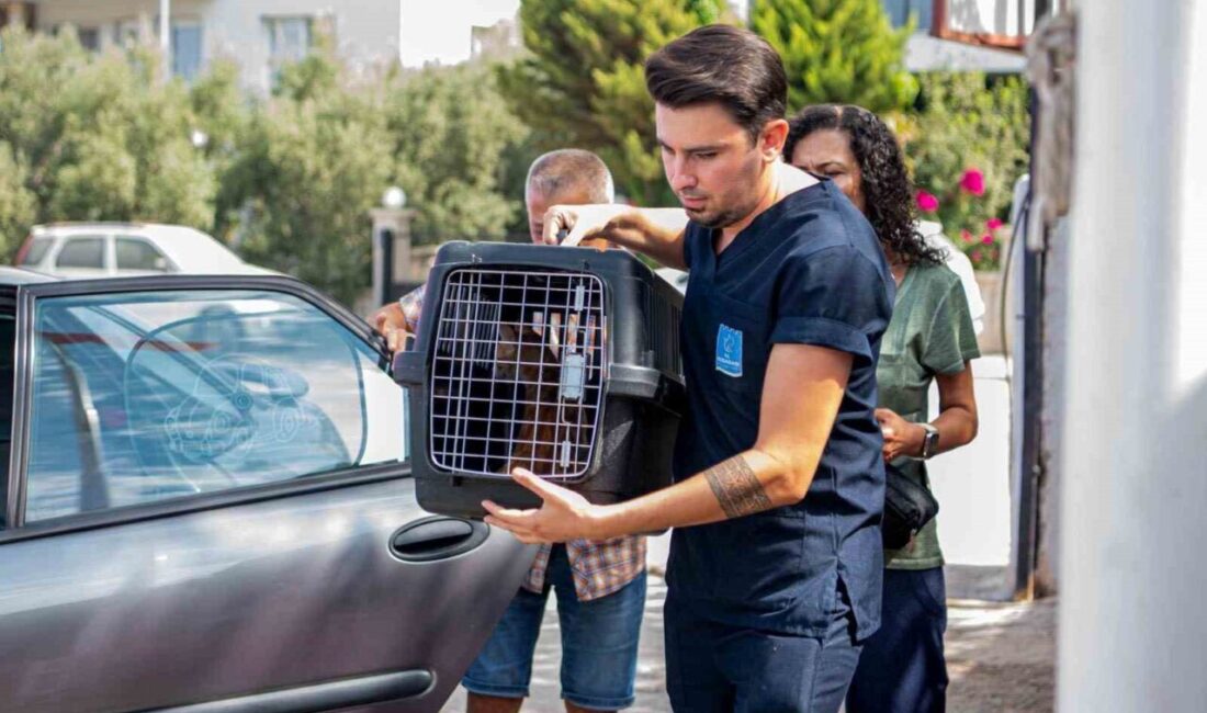 Hayvanlarla ilgili yaşama geçirdiği çalışmalarla adından söz ettiren Kuşadası Belediyesi,
