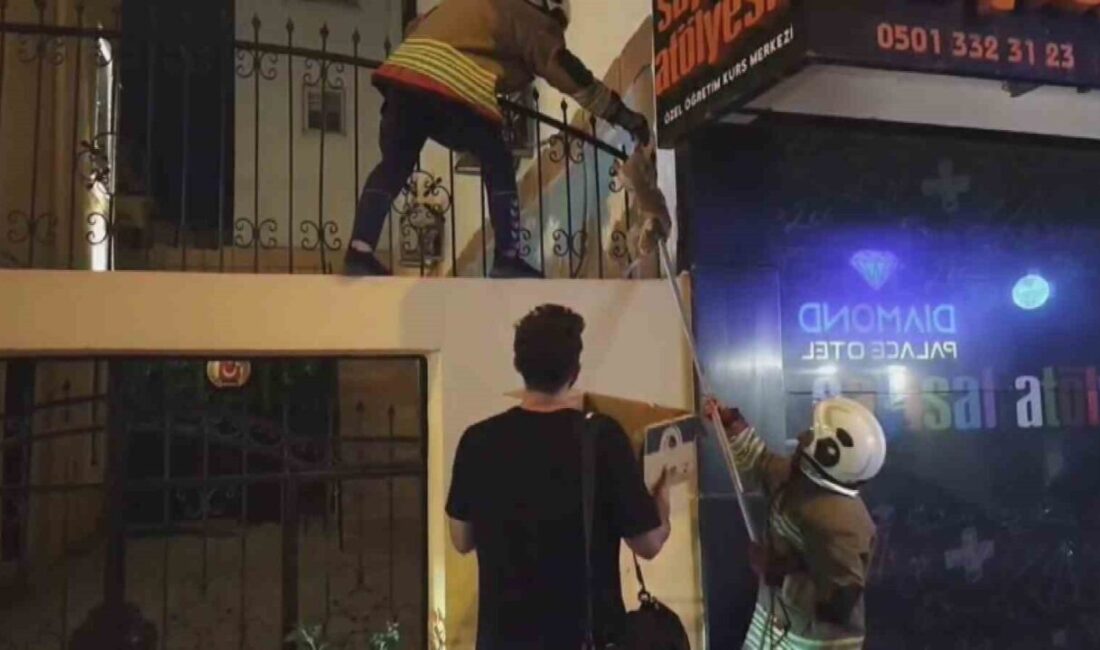 Hatay’ın İskenderun ilçesinde demir korkulukta mahsur kalan kediyi, itfaiye ekipleri