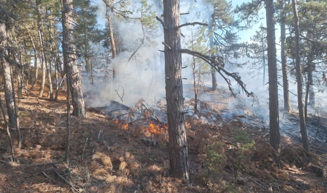 Manisa’nın Demirci ilçesinde çıkan orman yangınına 1 helikopter, 1 uçak