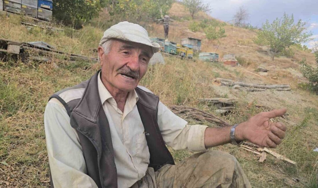 Hakkari’nin Akbulut köyüne bağlı Demirli Rezan mezrası sakinleri, asfaltlı yol