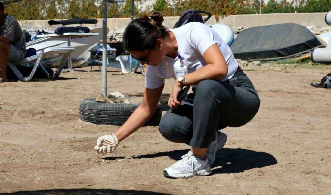 Bodrum Belediyesi, Türkiye Çevre Eğitim Vakfı (TÜRÇEV) Muğla Şubesi iş