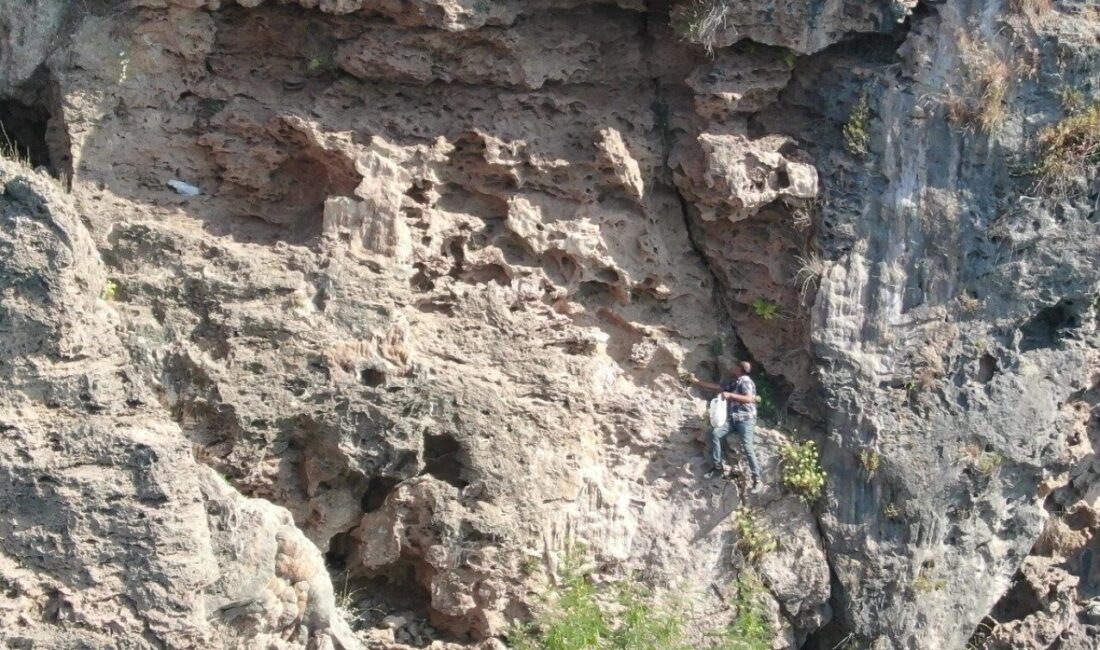 Antalya’da yaşayan Osman Şimşek, kendi rahatsızlığına derman bulmak için toplamaya