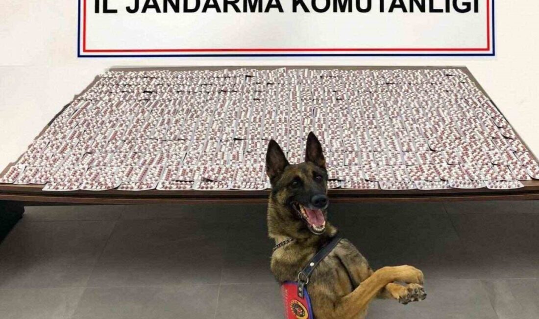 Denizli’de İl Jandarma ekipler tarafından uyuşturucu ticaretinin önlenmesine yönelik düzenlenen