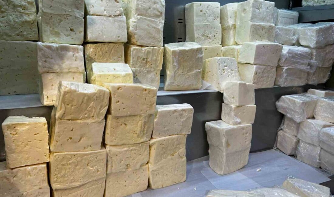 Tarım ve Orman Bakanlığı ekipleri tarafından yapılan kontrollerde Denizli’de peynir