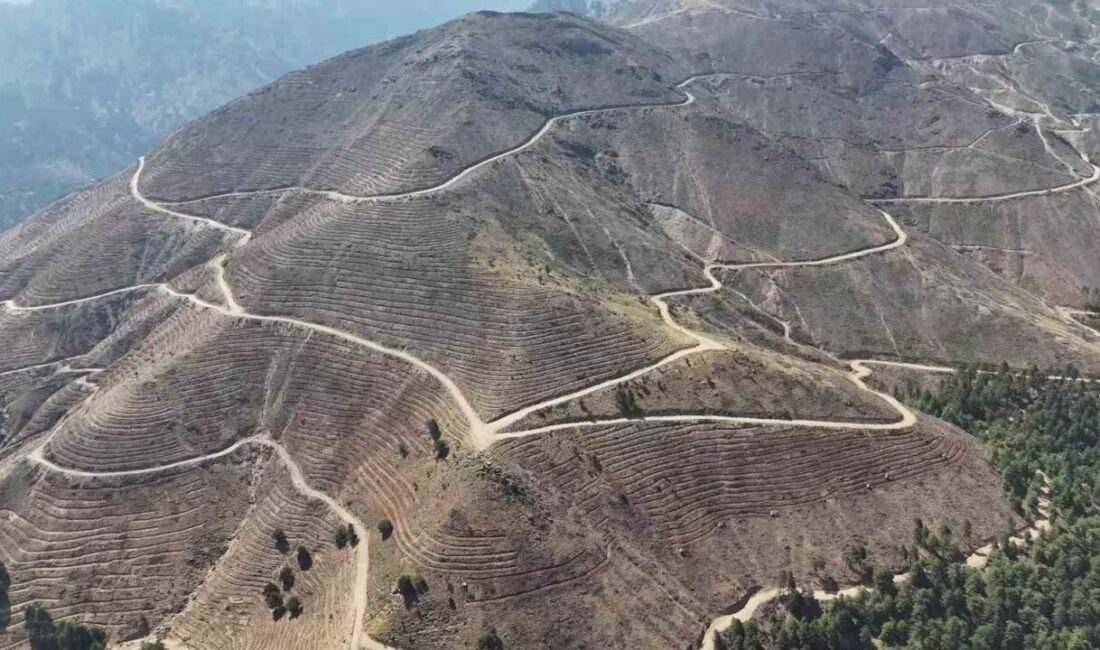 Denizli’den bu yıl meydana gelen orman yangınlarına ilişkin detaylı bilgilendirme