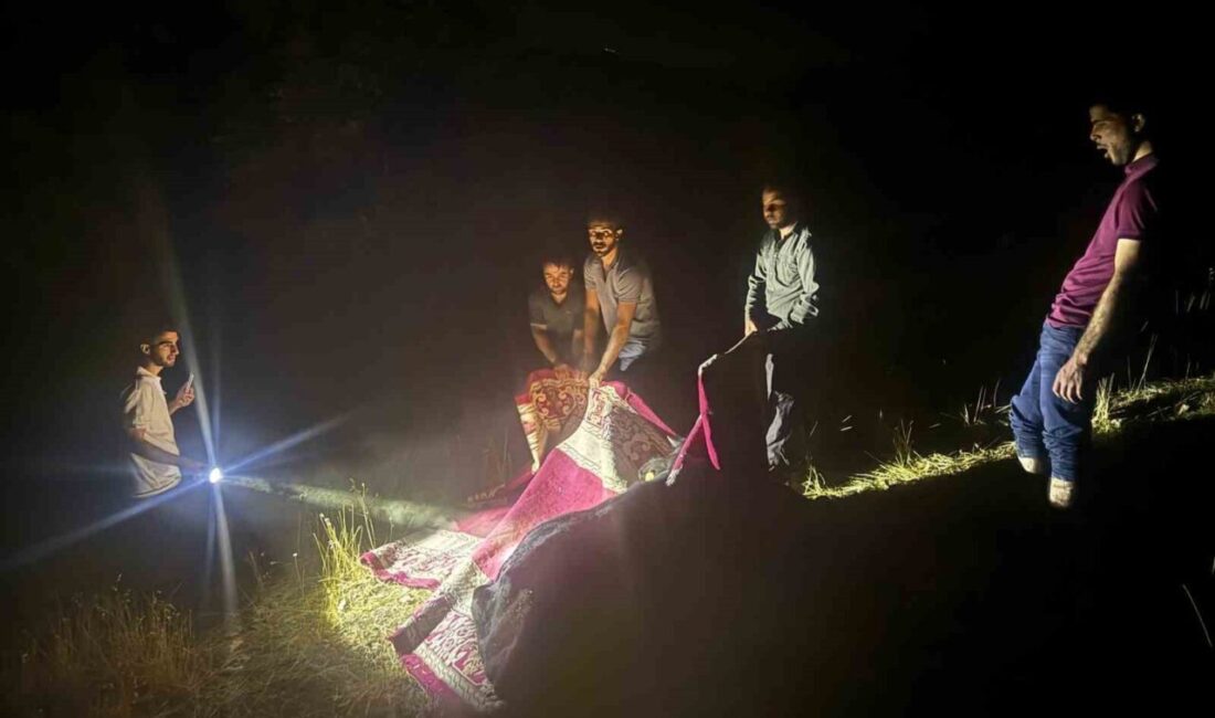 Hakkari’nin Derecik ilçesinde dağlık alanda rahatsızlanan bir inek, köylüler tarafından