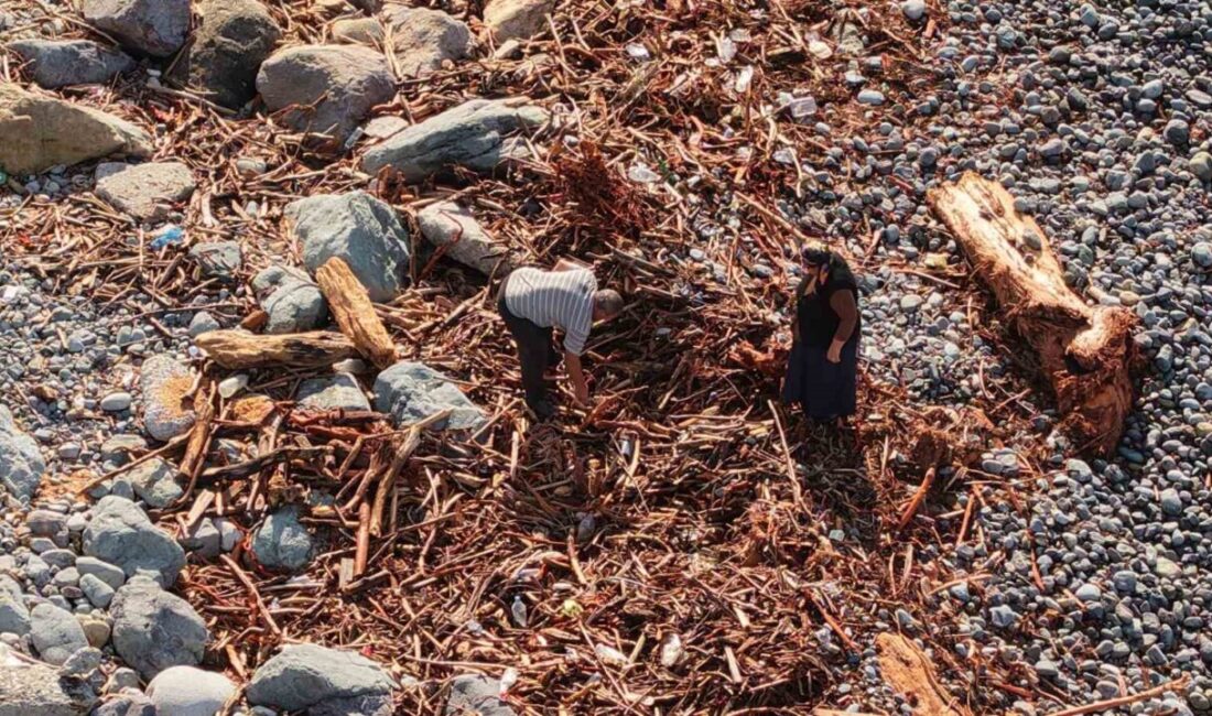 Rize’de hafta sonu yaşanan şiddetli yağışlar sonrasında derelerin Karadeniz’e taşıdığı
