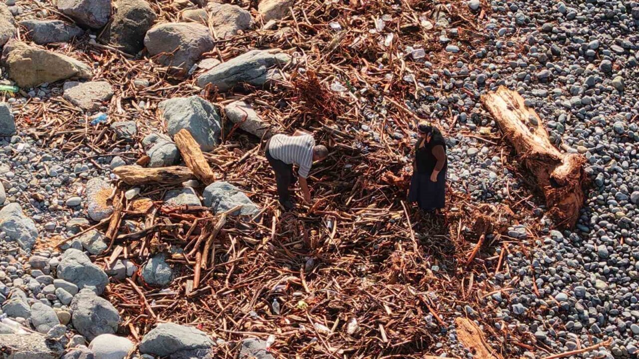 Rize’de hafta sonu yaşanan şiddetli yağışlar sonrasında derelerin Karadeniz’e taşıdığı