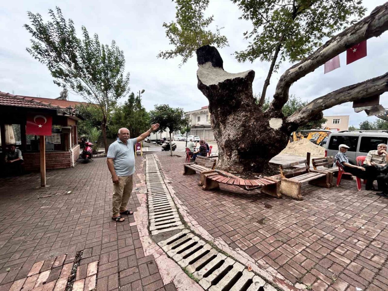 Hatay’ın Payas ilçesinde bulunan ve 500 yıllık olduğu tahmin edilen