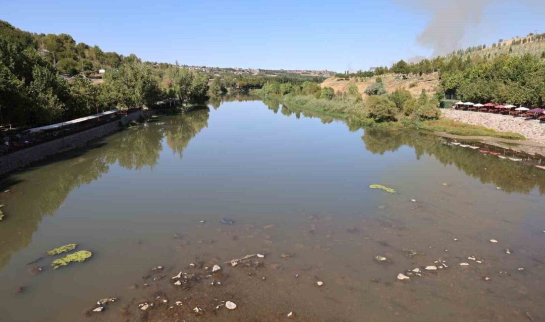 Dicle Nehri’nin Diyarbakır bölümünden geçen bazı bölgelerinde balık ölümleri görüldü.
