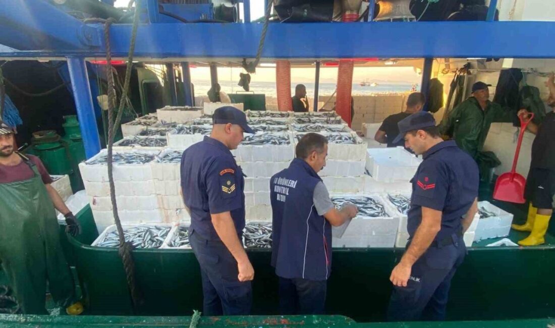 Aydın’ın Didim ve Söke ilçelerinde su ürünleri satışı ve avını