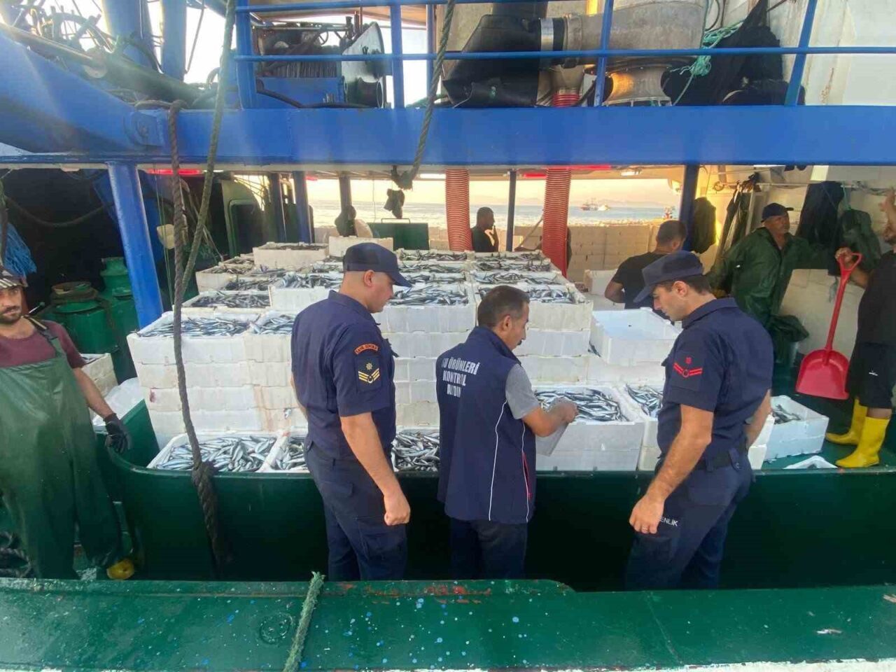 Aydın’ın Didim ve Söke ilçelerinde su ürünleri satışı ve avını