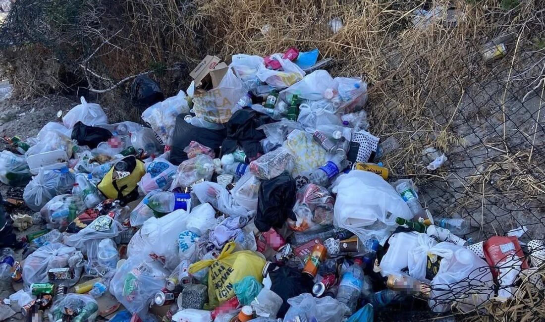 İzmir’in Dikili ilçesi Bademli Mahallesi’nde bulunan Pissa Koyu, sorumsuz ve