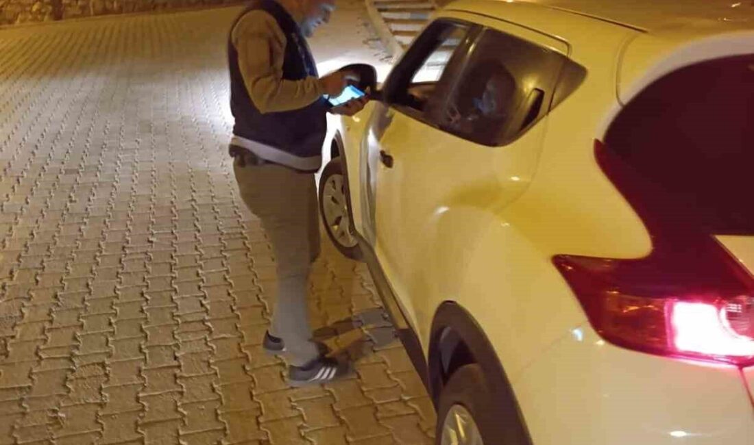 Afyonkarahisar’ın Dinar İlçesi’nde polis ve jandarma ekipleri tarafından ortaklaşa ’Huzur