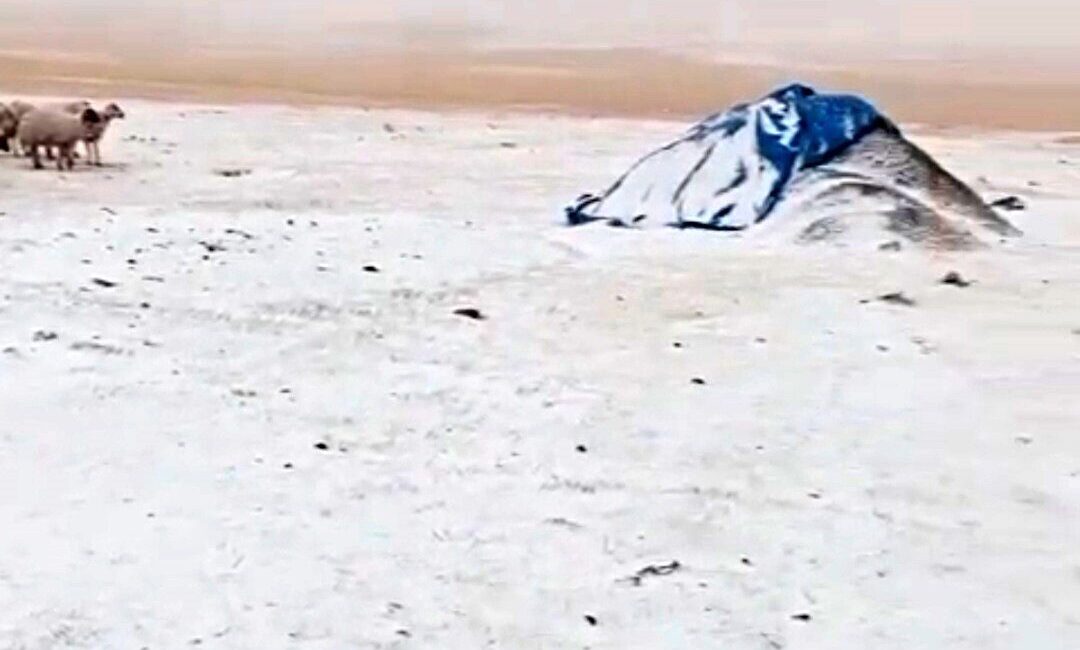 Ağrı’nın Diyadin ilçesine bağlı Zeynel köyünde etkili olan kar yağışı,