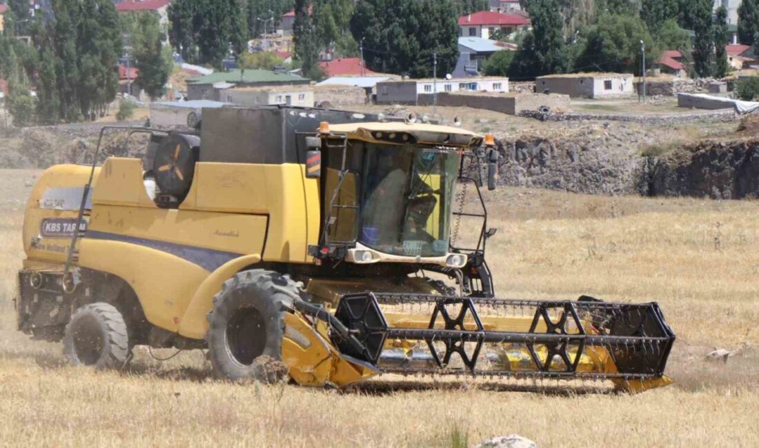 Ağrı’nın Diyadin ilçesinde yıl boyunca büyük emek verilerek ekilen buğday